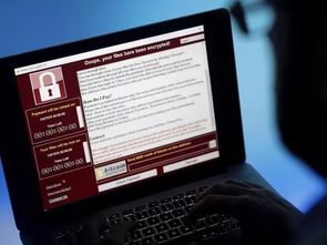 網絡與信息安全信息通報中心 軟件開發的關鍵角色